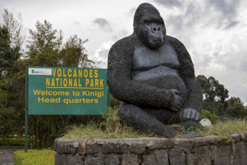 Rwanda Gorilla Safari