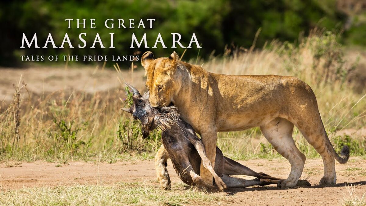 21 Days Uganda