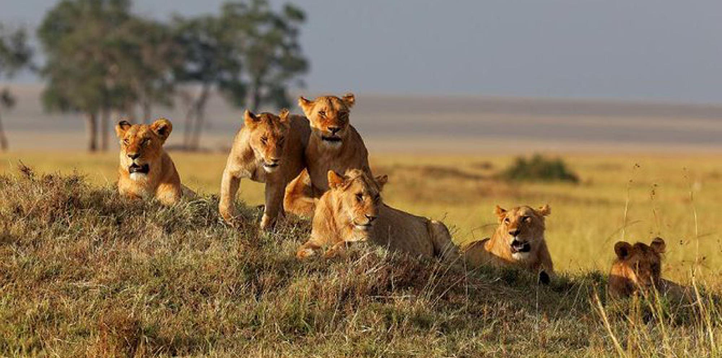 tanzania