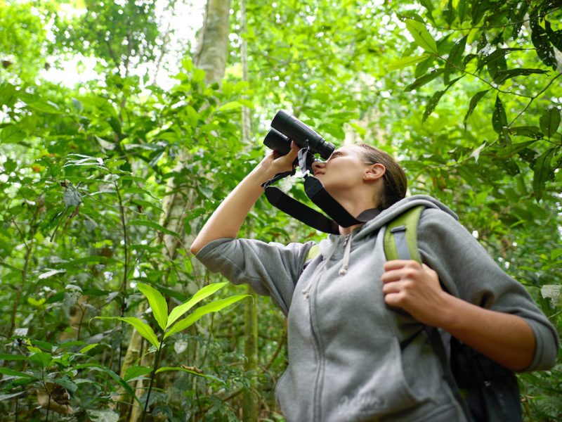 Young female hiker watching through binoculars wild birds in the jungle. Bird watching tours