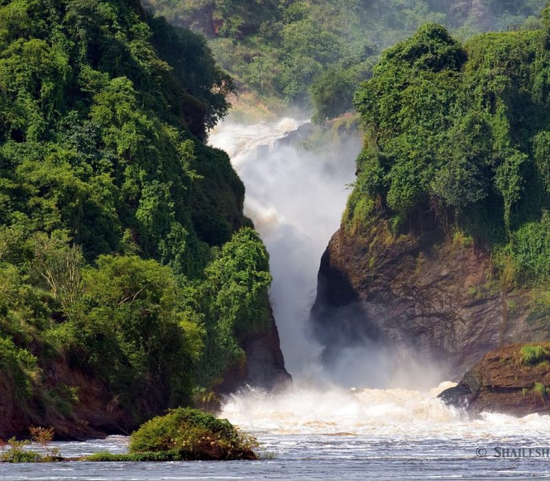 Murchison falls